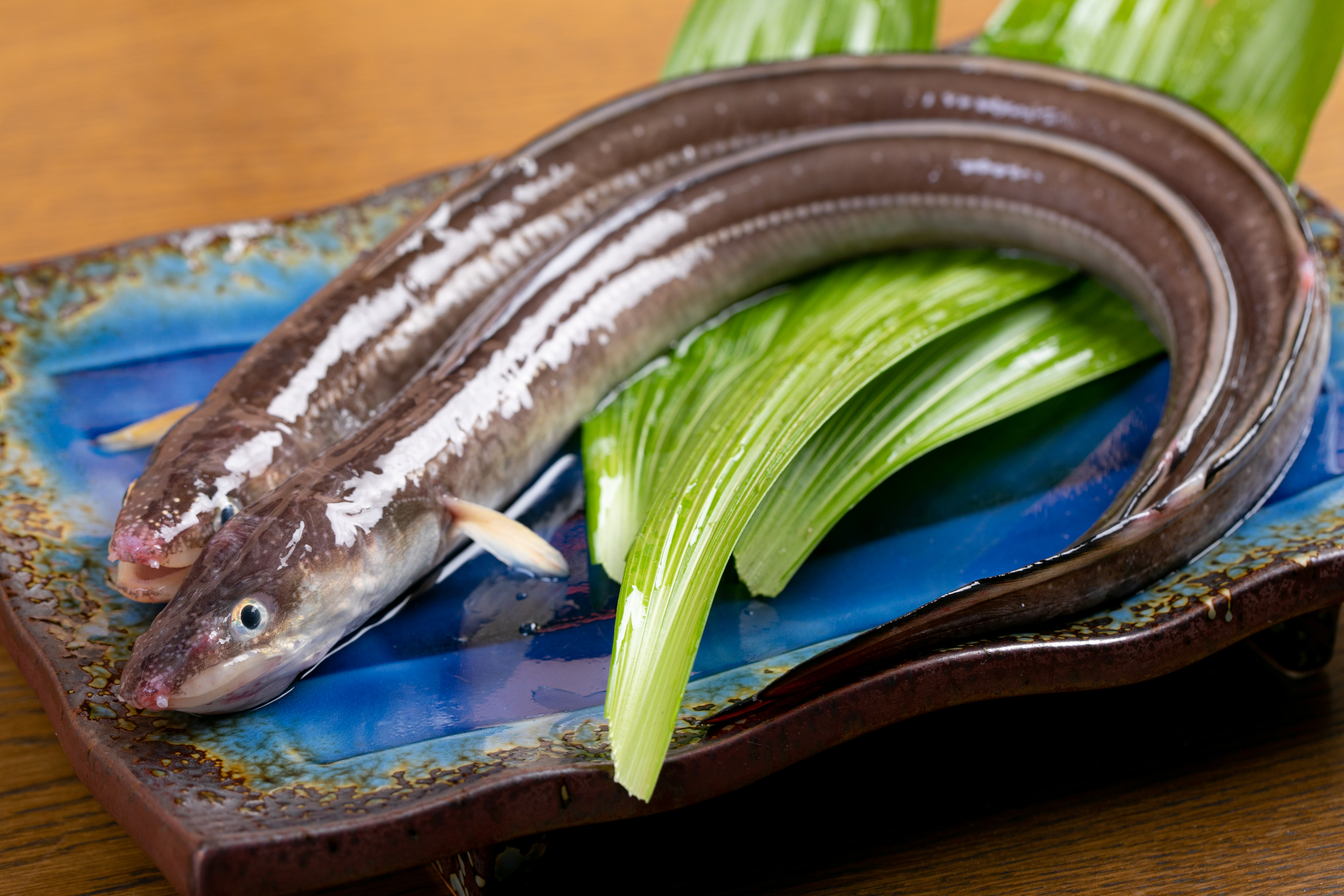 高松市内・屋島駅周辺にある「瀬戸内季節料理 魚夏（せとうちきせつりょうり うおなつ）」さんのクチコミレポート。穴子料理が人気の海鮮料理屋